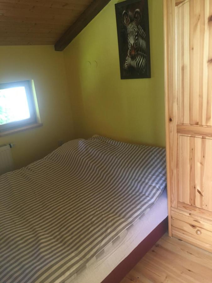 Apartment Zebra